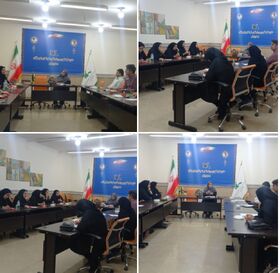 جلسه آسیب شناسی کارگاه های تخصصی استان با حضورمسئولین مراکز ایلام برگزارشد