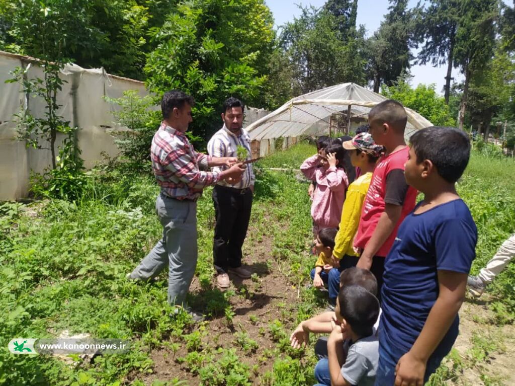 آموزش کاشت و نگهداری از گل و گیاه به اعضای مراکز گالیکش 