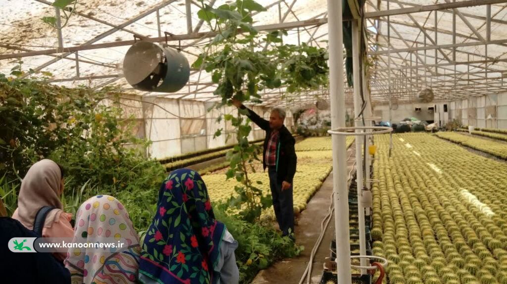 بازدید اعضای مرکز فرهنگی هنری شماره ۱ نیشابور از گلخانه فنی و حرفهای