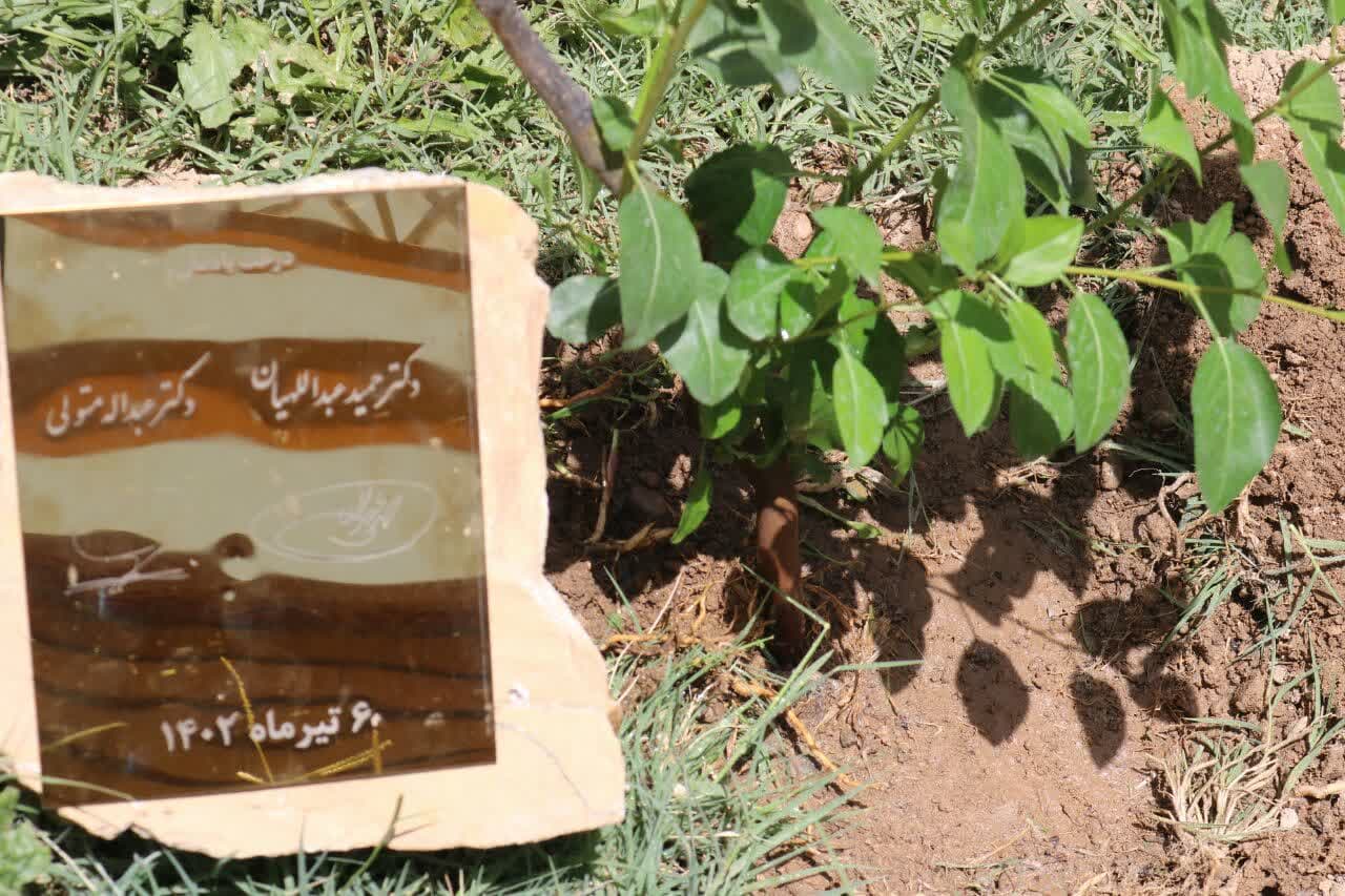 آیین رونمایی کتاب و جشن امضا مجموعه کتابهای "خوشمزه های تاریخ "