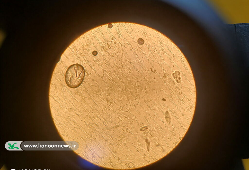 اعضا مرکز شماره ۲ بوشهر به گردش علمی رفتند