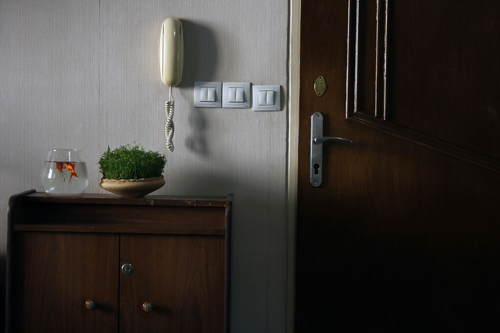 برگزیدگان مسابقه عکاسی «در آئینه نوروز» کانون پرورش فکری