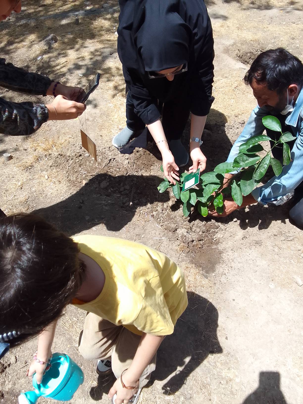 «نذر کاشت نهال» در مرکز 25 کانون