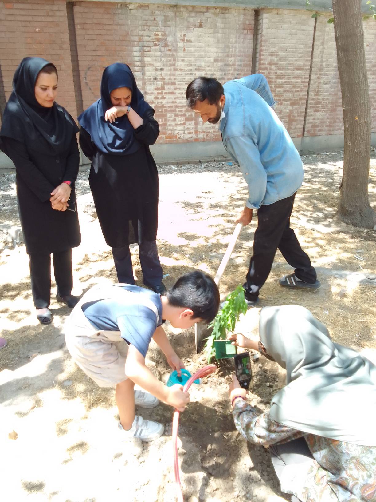 «نذر کاشت نهال» در مرکز 25 کانون