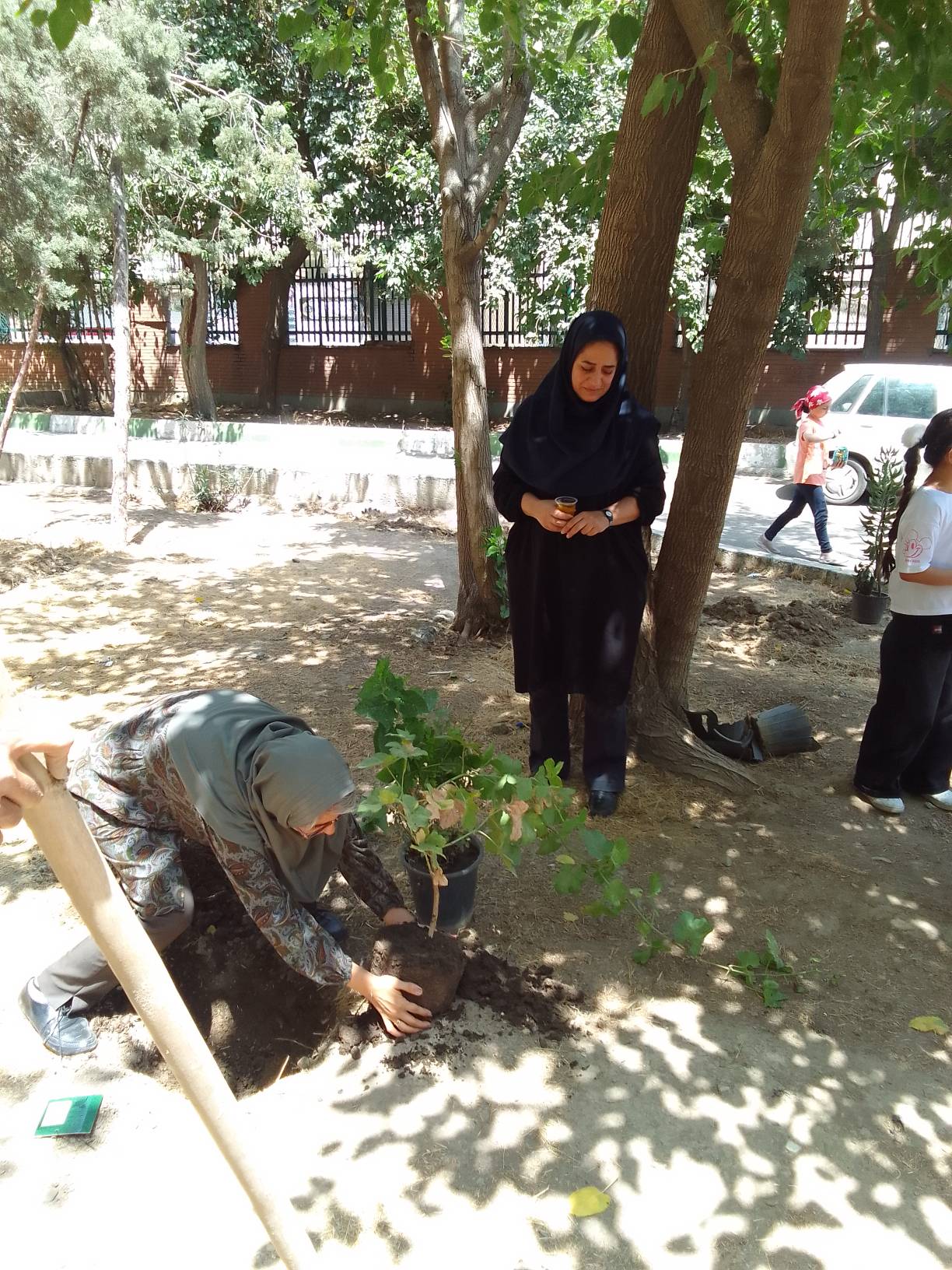 «نذر کاشت نهال» در مرکز 25 کانون