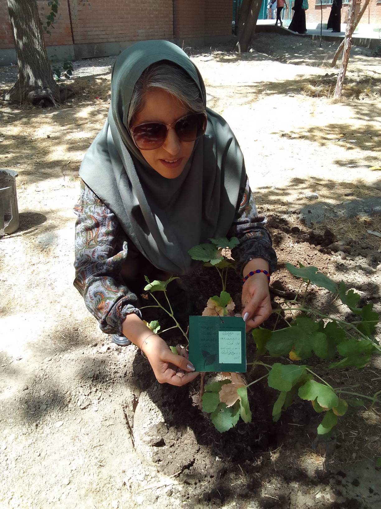 «نذر کاشت نهال» در مرکز 25 کانون