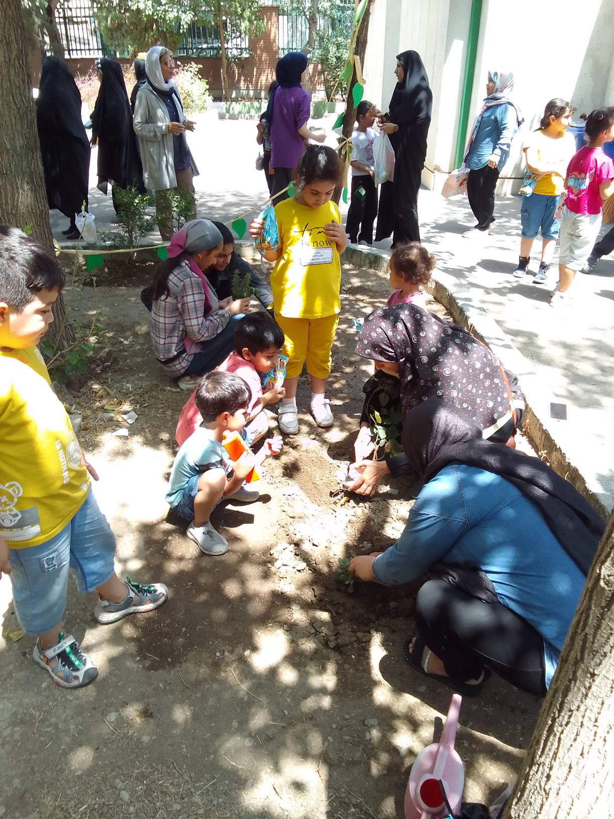 «نذر کاشت نهال» در مرکز 25 کانون