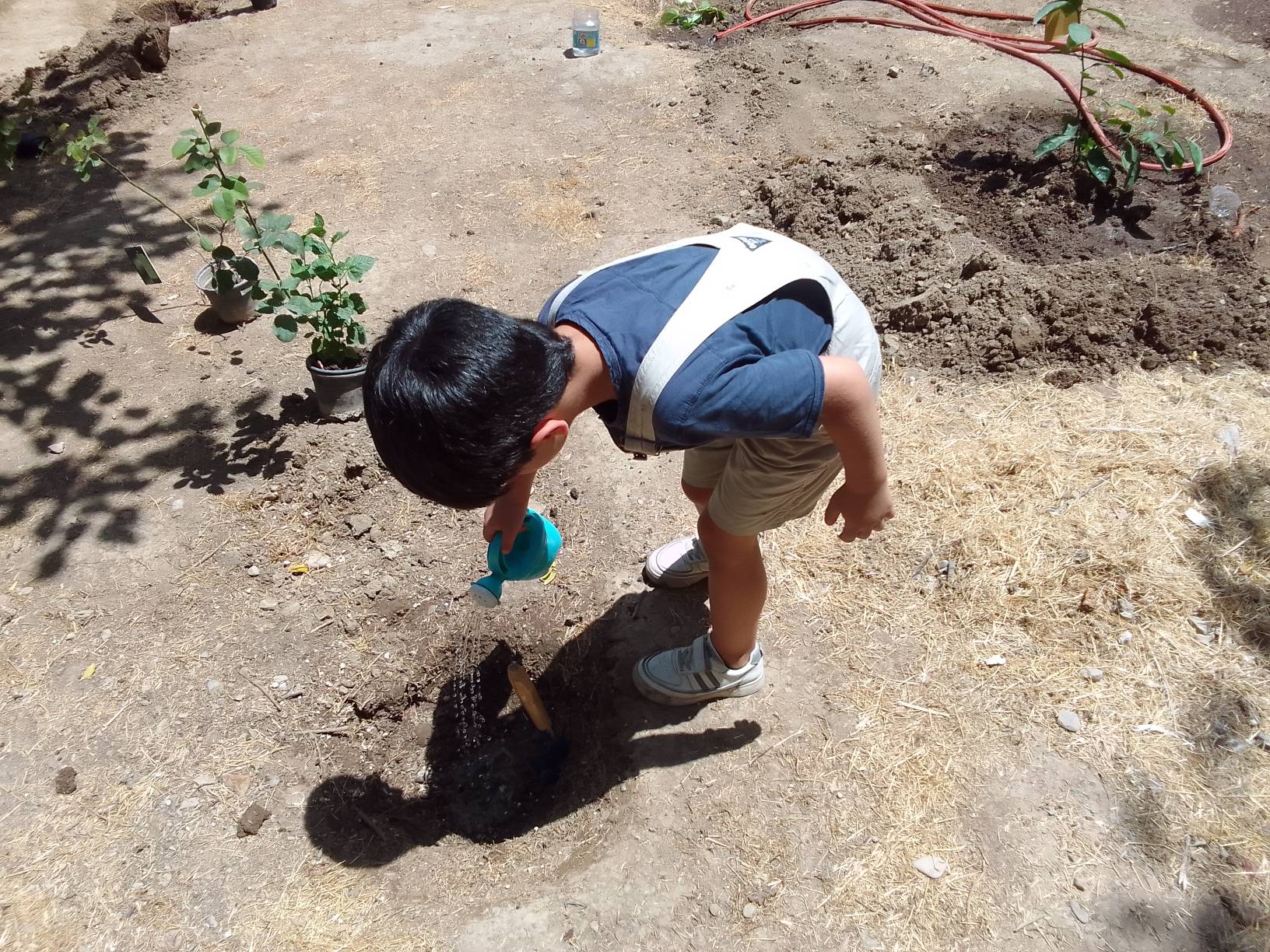 «نذر کاشت نهال» در مرکز 25 کانون