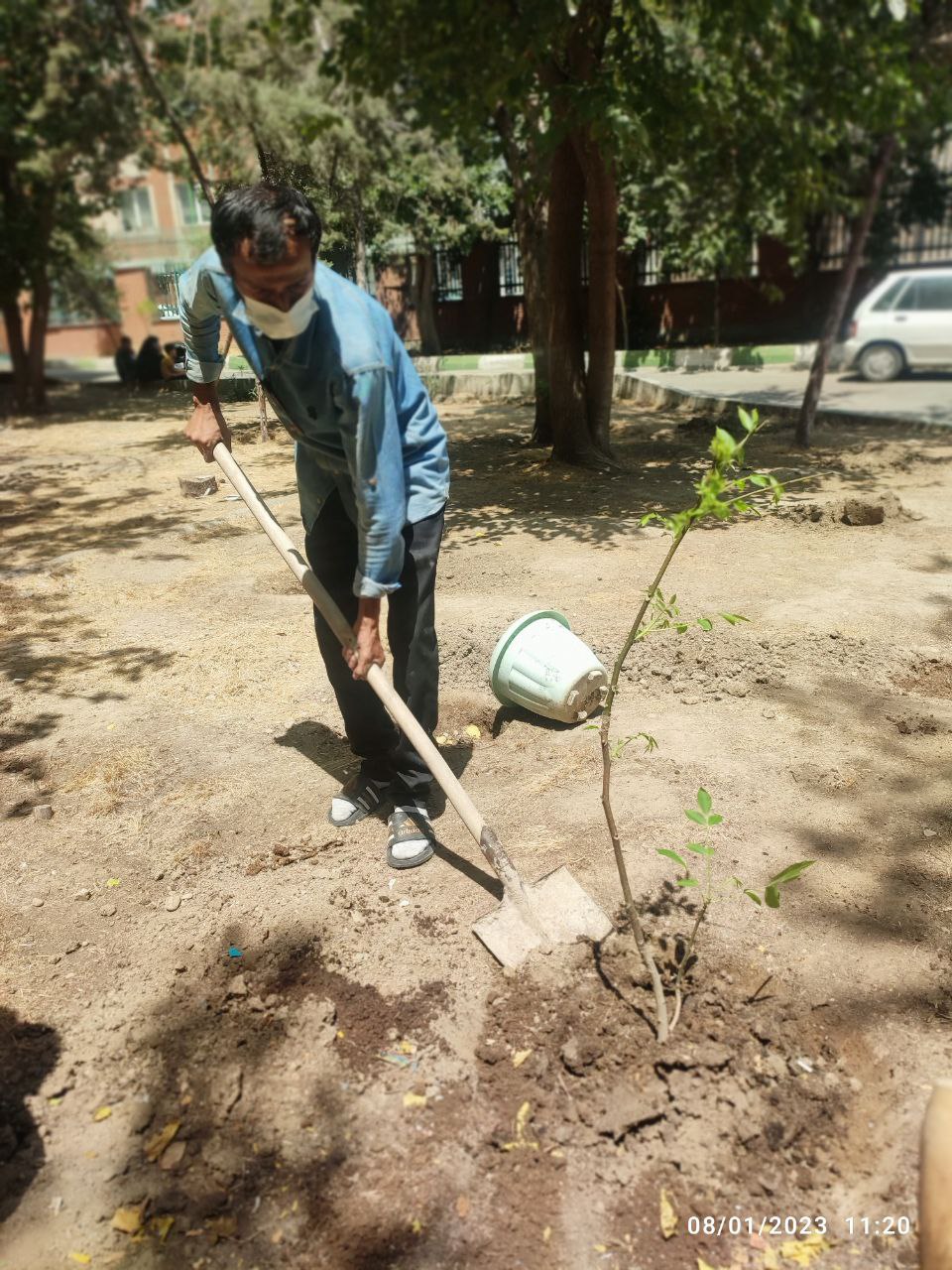 «نذر کاشت نهال» در مرکز 25 کانون
