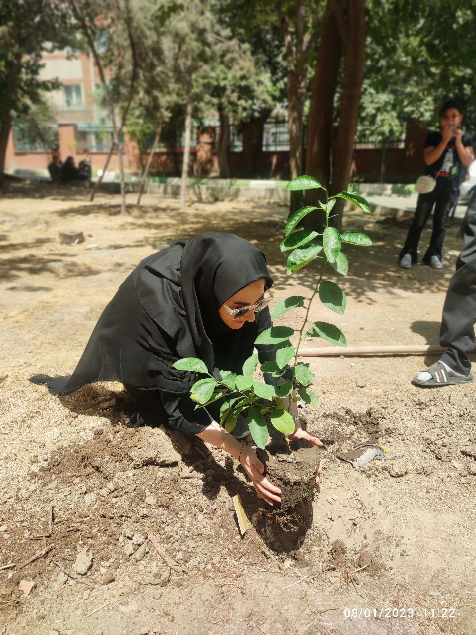 «نذر کاشت نهال» در مرکز 25 کانون