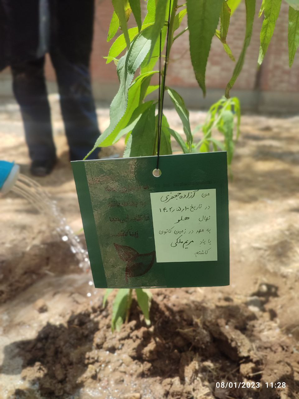 «نذر کاشت نهال» در مرکز 25 کانون