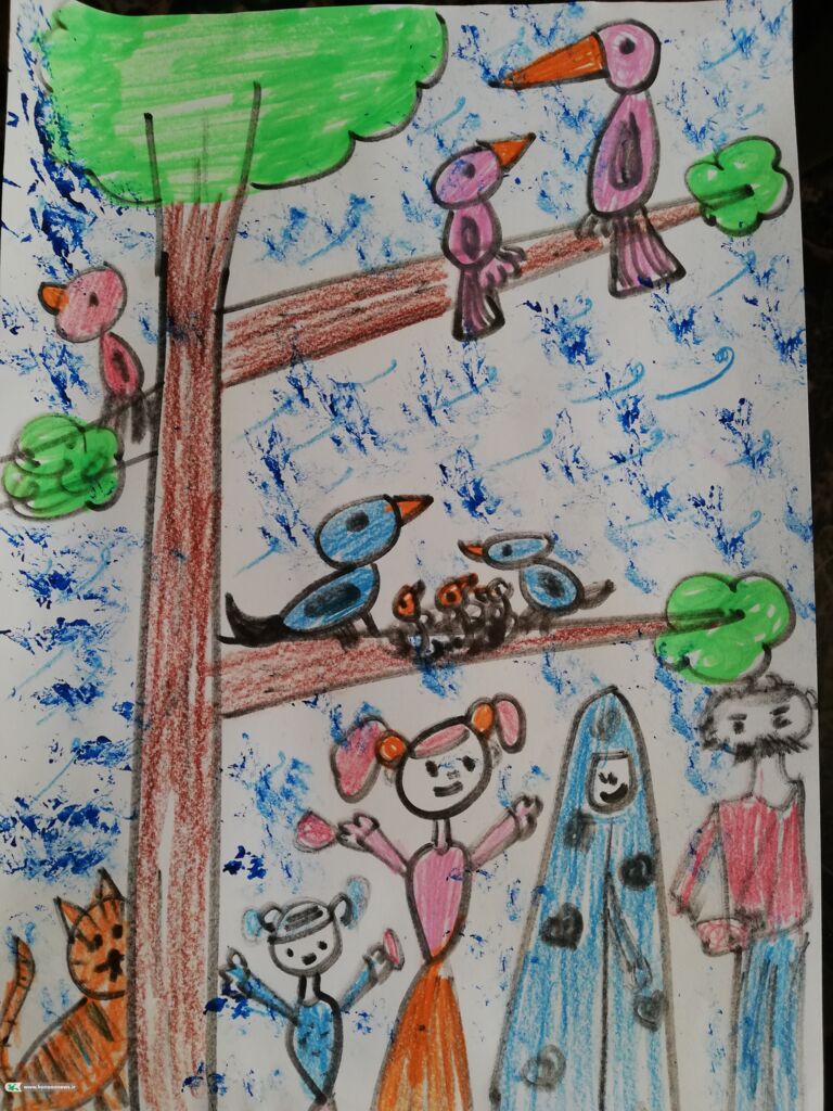 برگزیدگان «از فراز جنگل شمال، تا سواحل جنوب» معرفی شدند.