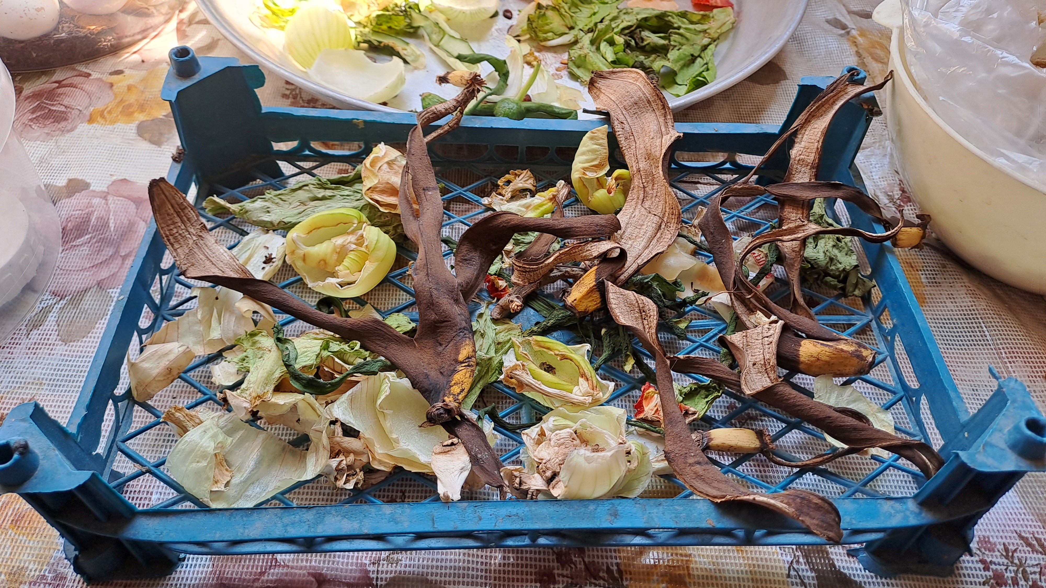 «من زمین را دوست دارم»