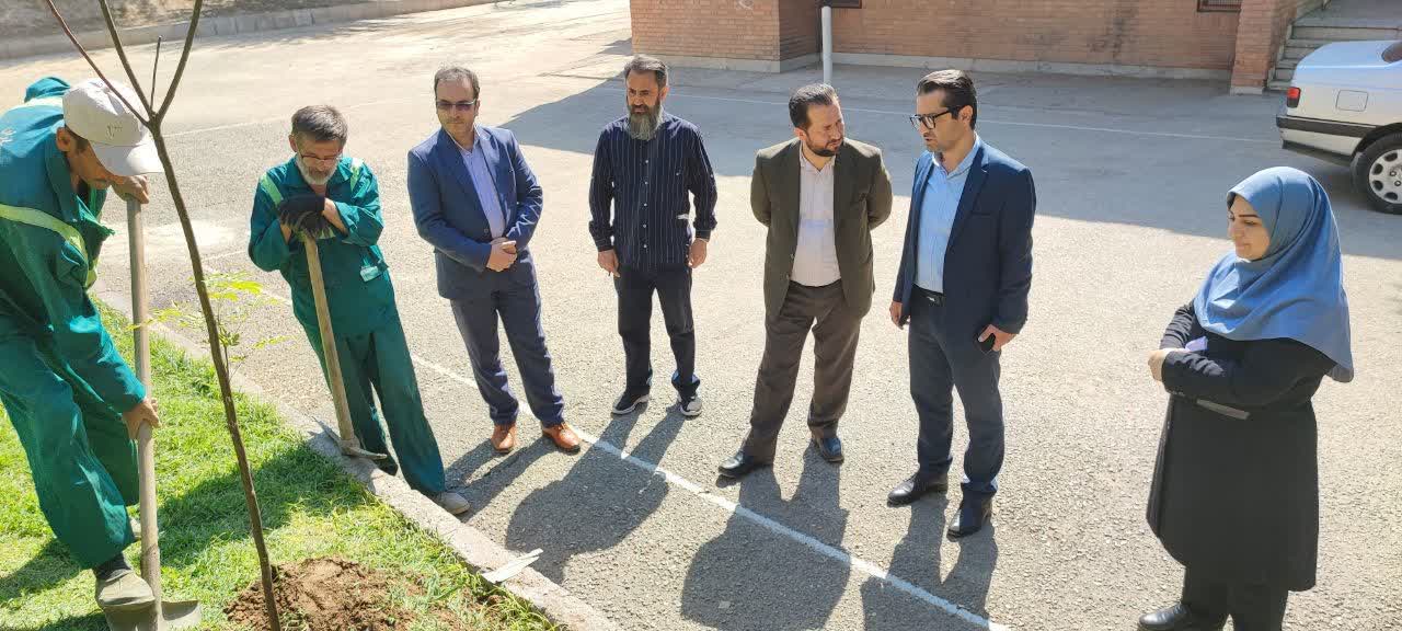 کاشت نهال به مناسبت هفته ملی کودک