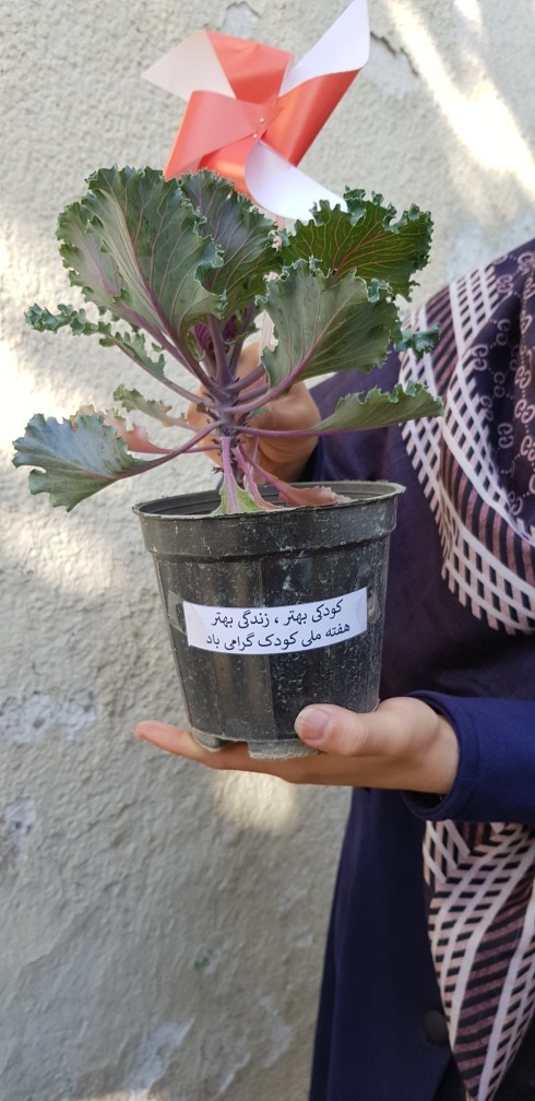 «من مسئول گلم هستم»