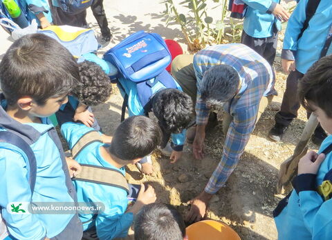 طرح کاشت یک شهید یک نهال در مراکز کانون استان بوشهر