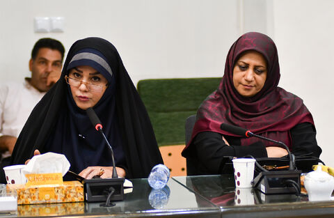 رونمایی کتاب «از گلوله تا گنجشک»