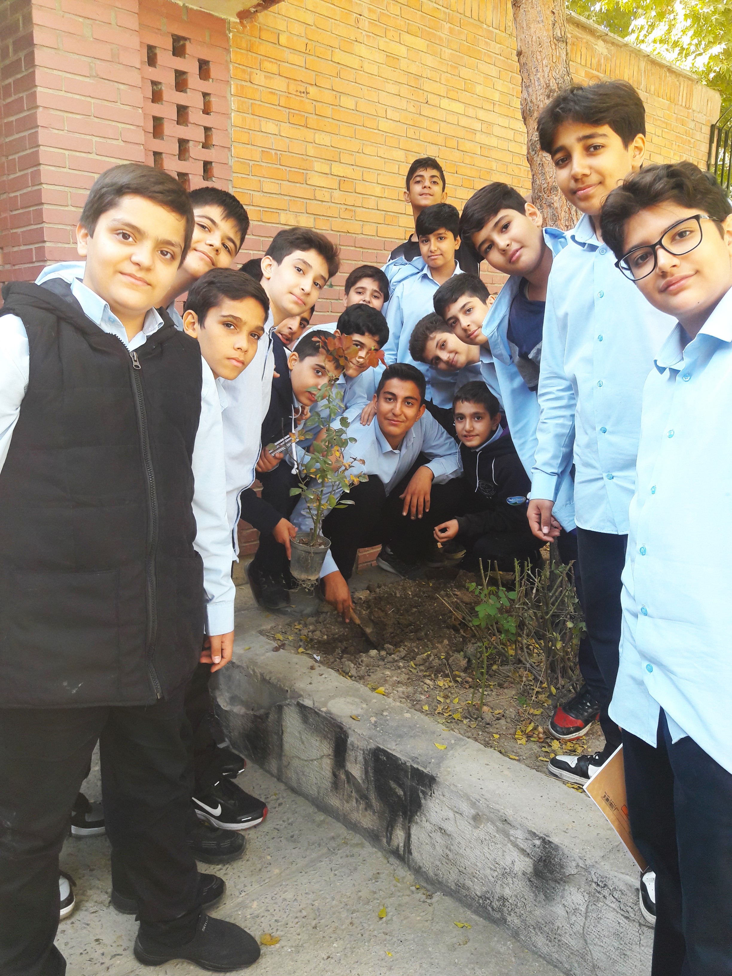 کاشت گل روز با یاد خاطره شهید نوجوان محمدحسین فهمیده