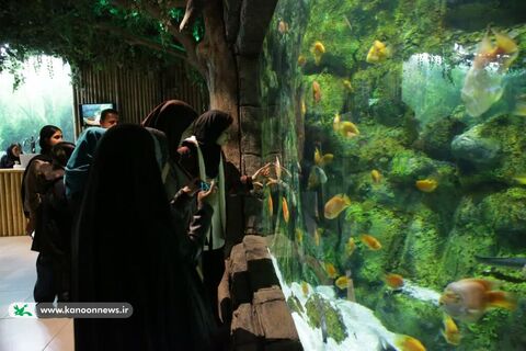 بازدید اعضای کانون از آکواریوم مجتمع تجاری کاسپین در منطقه آزاد تجاری بندرانزلی