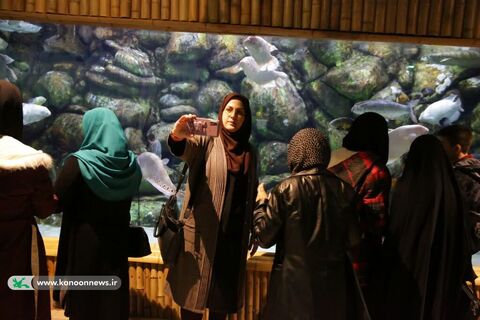 بازدید اعضای کانون از آکواریوم مجتمع تجاری کاسپین در منطقه آزاد تجاری بندرانزلی
