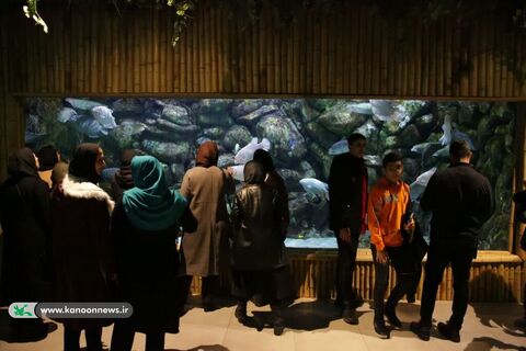 بازدید اعضای کانون از آکواریوم مجتمع تجاری کاسپین در منطقه آزاد تجاری بندرانزلی
