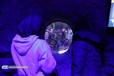 بازدید اعضای کانون از آکواریوم مجتمع تجاری کاسپین در منطقه آزاد تجاری بندرانزلی