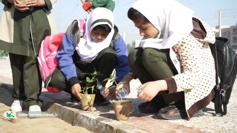 مشارکت مدیرکل، کارکنان کانون و کودکان و نوجوانان بوشهری در طرح کاشت یک میلیارد درخت