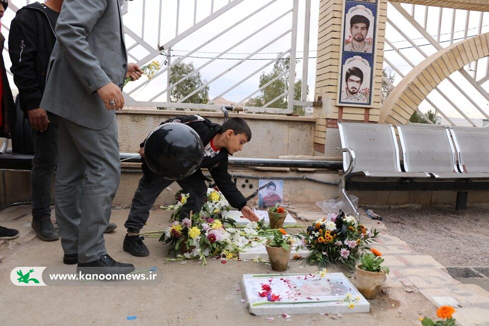 ققنوسها در قامت گنجشکهای ناتمام