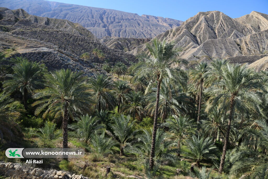 صعود کارکنان کانون استان بوشهر به دامنه های کوه بیرمی