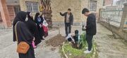 کاشت درخت و گرامی‌داشت روز درخت‌کاری در آزادشهر و رامیان
