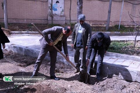 گرامیداشت روز درختکاری با کاشت نهال در اداره‌کل کانون کرمان