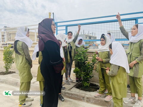 روز درختکاری در مراکز فرهنگی کانون پرورش فکری استان بوشهر