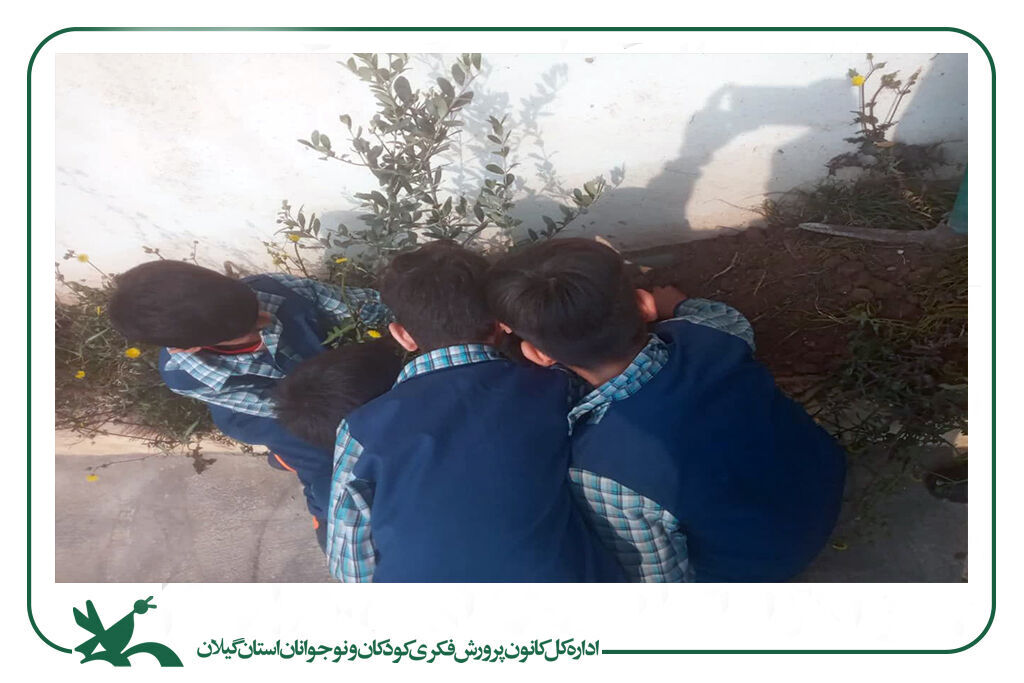 طرح سفیران سبز در کانون استان گیلان اجرایی شد