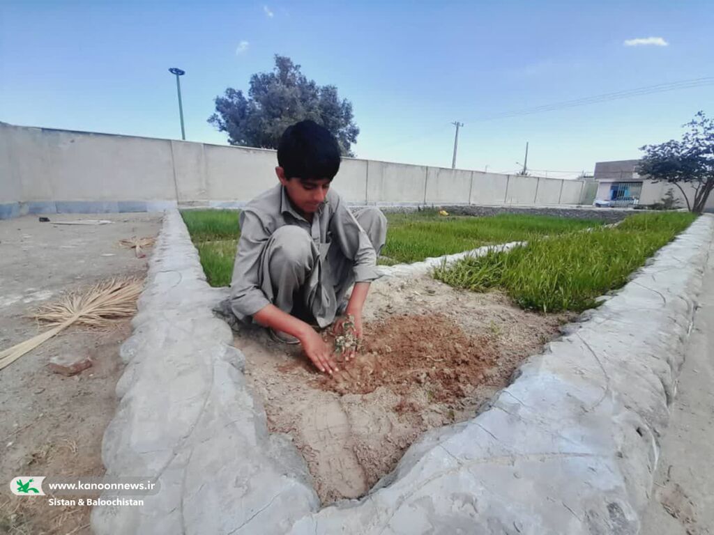 استقبال اعضا و مربیان کانون سیستان و بلوچستان از بهار در روز درختکاری