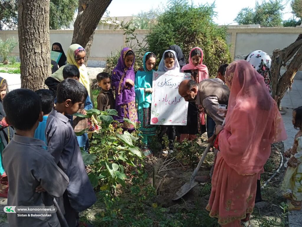 استقبال اعضا و مربیان کانون سیستان و بلوچستان از بهار در روز درختکاری
