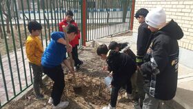 گزارش تصویری مراکز آذربایجان شرقی در روز درختکاری