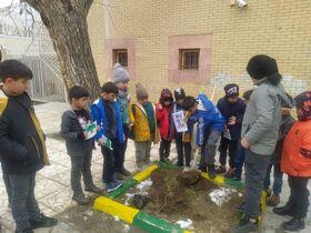 گزارش تصویری/ روز درختکاری توسط اعضای مراکز همدان