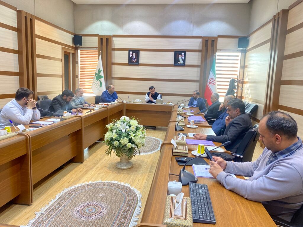 حمایت از تولید داخلی، دغدغه شورای نظارت بر اسباببازی