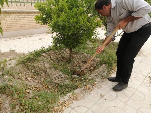 «پویش فضای سبز خوشا به حال درختان که عاشق نورند»