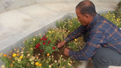 «پویش فضای سبز خوشا به حال درختان که عاشق نورند»