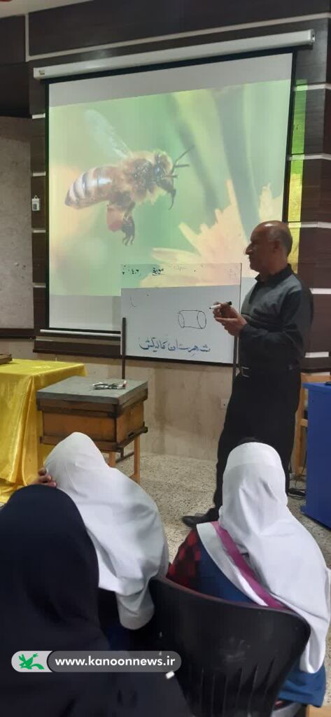 آشنایی کودکان و نوجوانان گالیکشی با شغل زنبورداری
