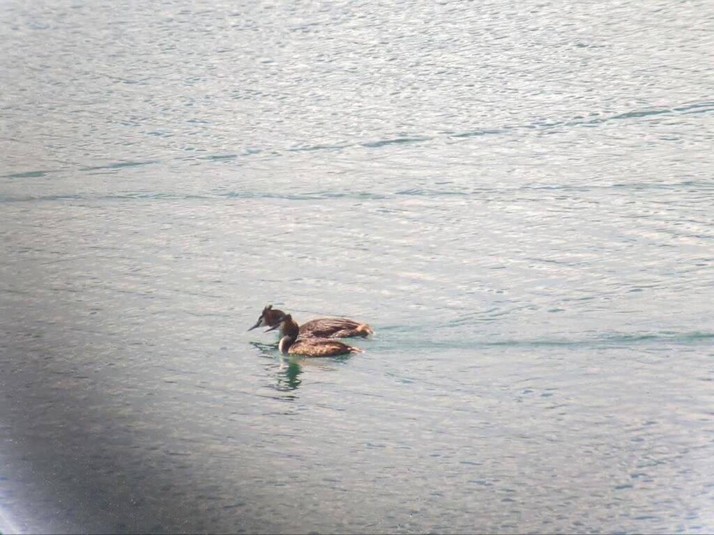 اردوی راویت پیشرفت کانونیاران همدان از سواد رسانه تا تالاب آبشینه