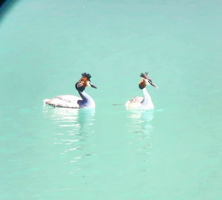 اردوی راویت پیشرفت کانونیاران همدان از سواد رسانه تا تالاب آبشینه