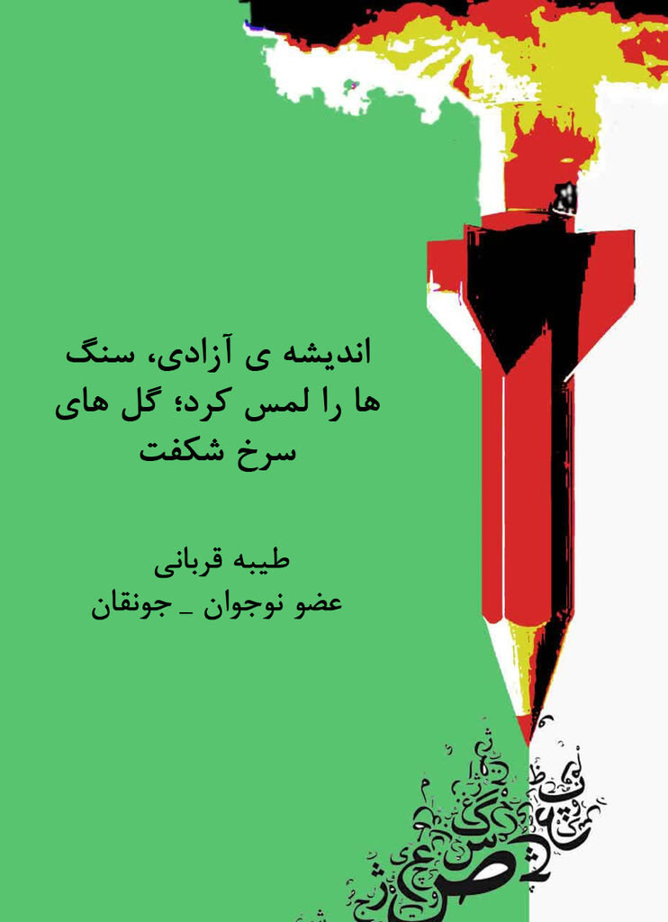 کاریکلماتور نویسان برتر معرفی شدند