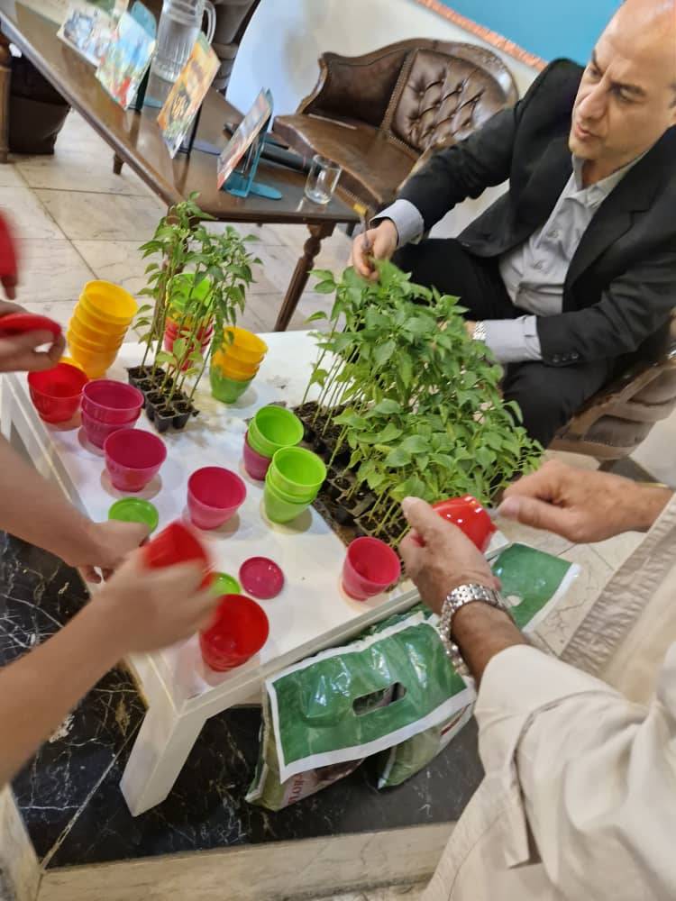 مراکز ۱۶ و ۲۶ دانه های خود را کاشتند