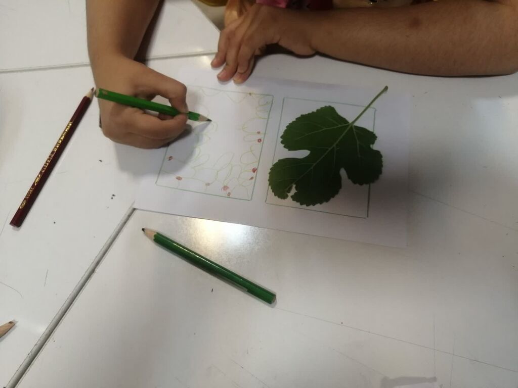 آغاز اردوهای کاوش در طبیعت مراکز کانون کرمانشاه