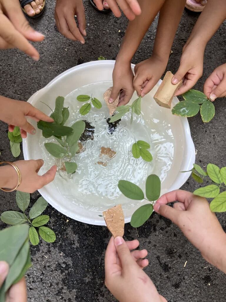 آشنایی کودکان با دنیای طبیعت و گیاه در مرکز ماکو