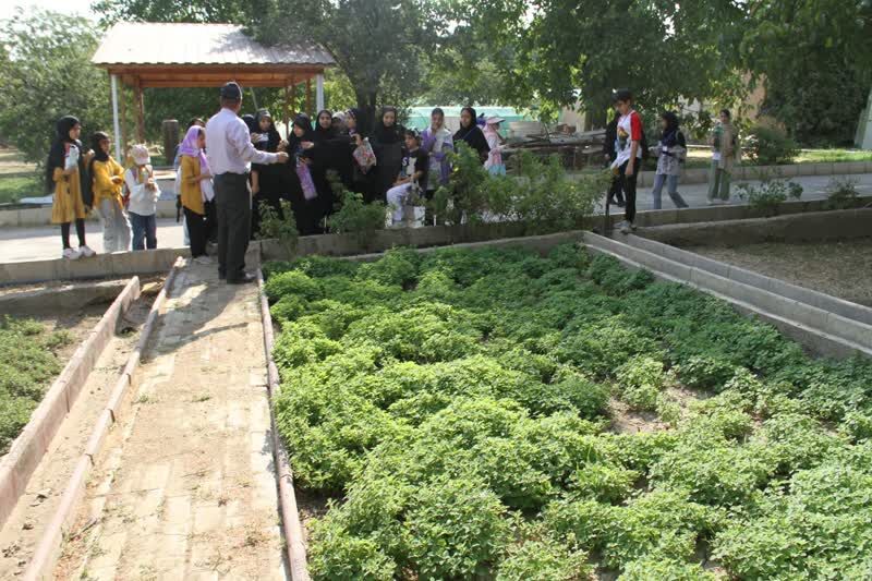 بازدید کانونیاران همدان از باغ گیاهان دارویی بوعلی سینا