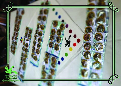 دست سازه دوم اربعین چهارمحال و بختیاری