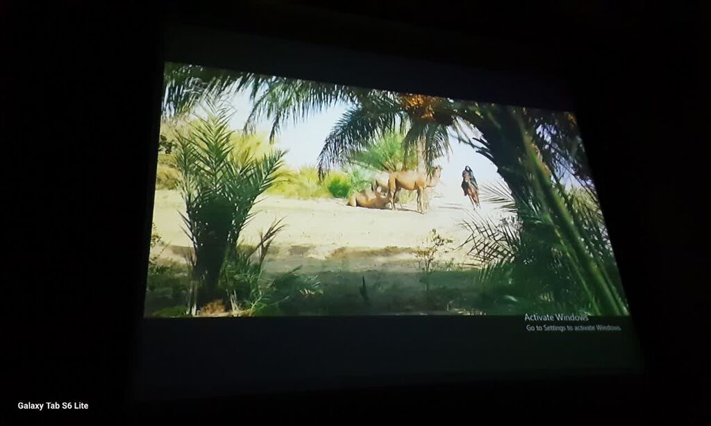 «شور عاشقی» در سینما کانون البرز